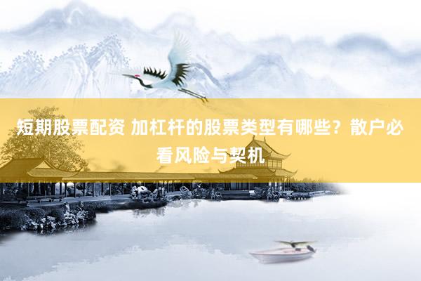 短期股票配资 加杠杆的股票类型有哪些？散户必看风险与契机